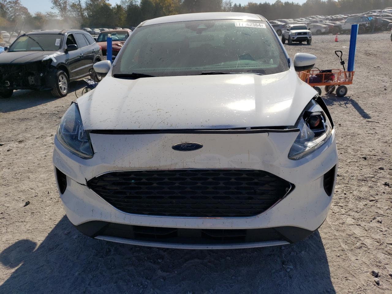 Lot #3024237796 2020 FORD ESCAPE SE