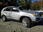 Lot #3023916214 2011 KIA SORENTO EX