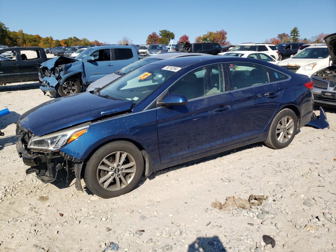 Lot #2994203362 2015 HYUNDAI SONATA SE