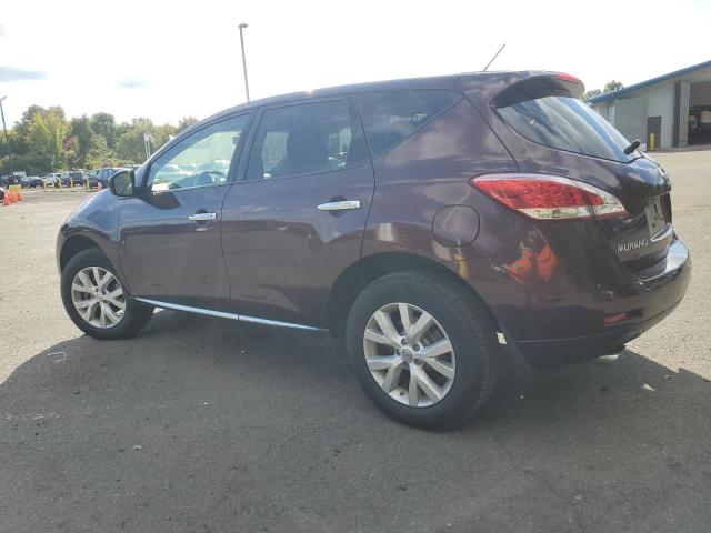 NISSAN MURANO S 2013 burgundy  gas JN8AZ1MW9DW311562 photo #3