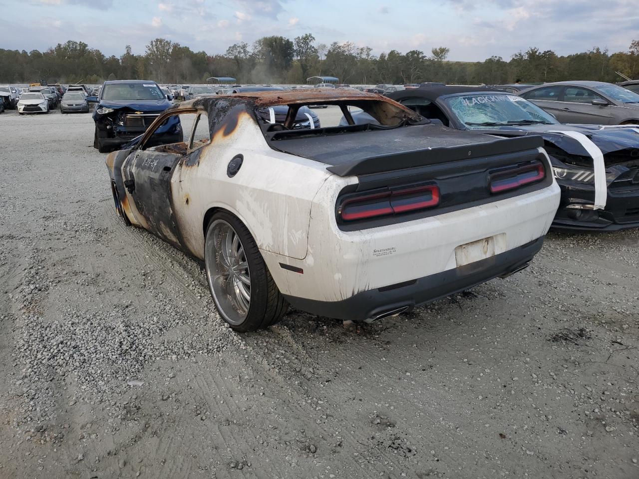 Lot #2938164916 2016 DODGE CHALLENGER