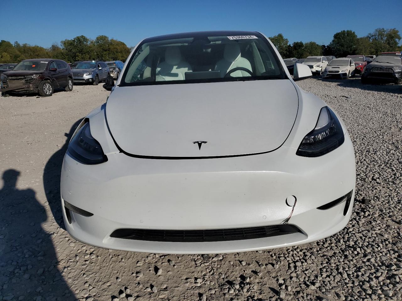 Lot #2974499454 2022 TESLA MODEL Y