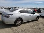 NISSAN MAXIMA S photo