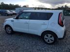 KIA SOUL photo