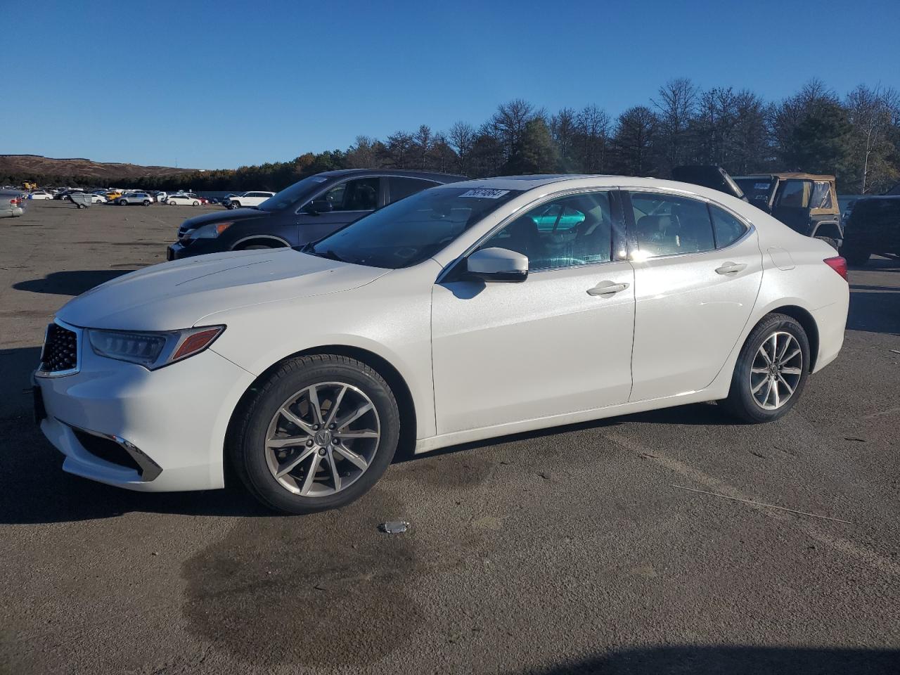 Lot #2988935636 2020 ACURA TLX