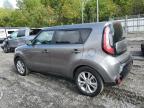 KIA SOUL + photo