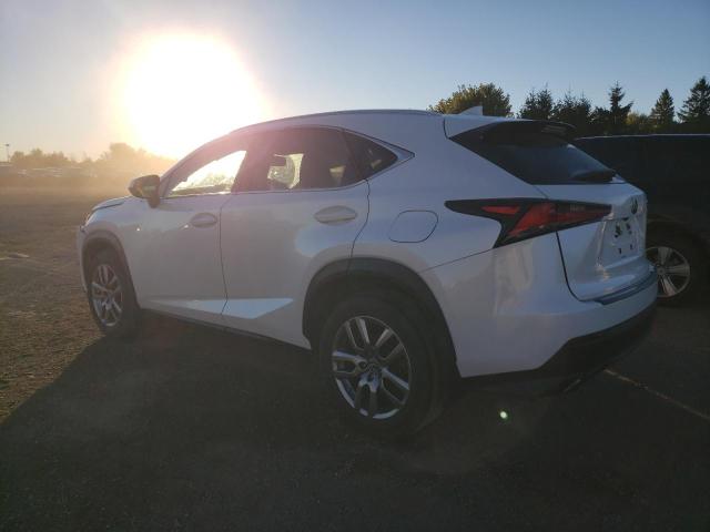 2020 LEXUS NX 300 JTJGARDZ7L5000249