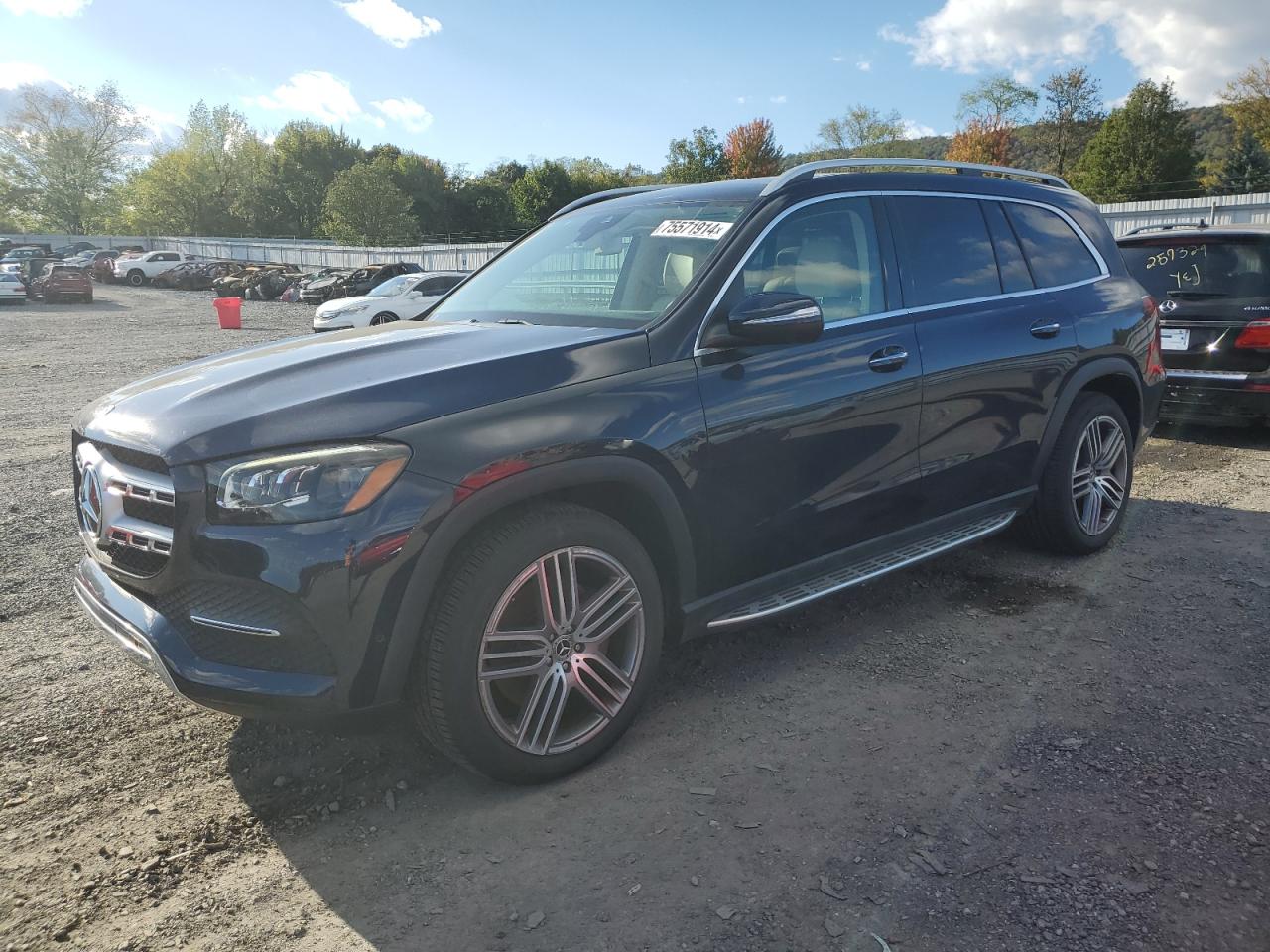 Mercedes-Benz GLS-Class 2020 GLS450-4M