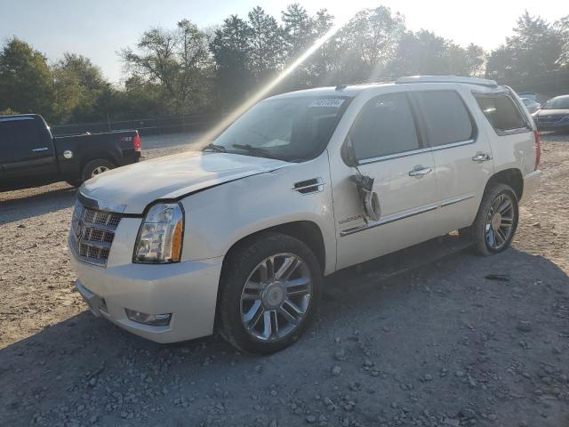 Global Auto Auctions: 2011 CADILLAC ESCALADE P