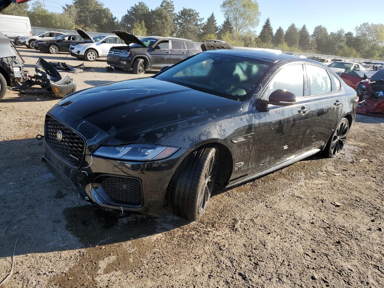 Jaguar XF 2024 P300 R-Dynamic SE