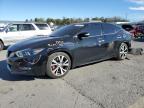 2017 NISSAN MAXIMA 3.5 - 1N4AA6AP2HC367210