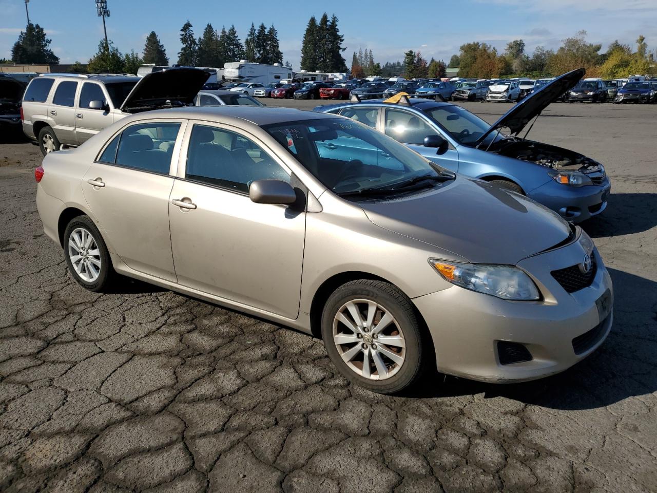 Lot #2953115629 2009 TOYOTA COROLLA BA