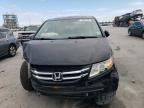 HONDA ODYSSEY EX photo