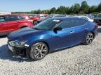 2017 NISSAN MAXIMA 3.5 - 1N4AA6AP3HC385392