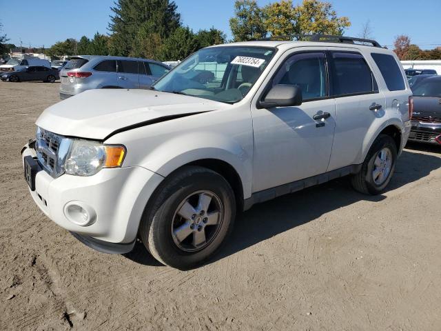 2011 FORD ESCAPE XLT 2011