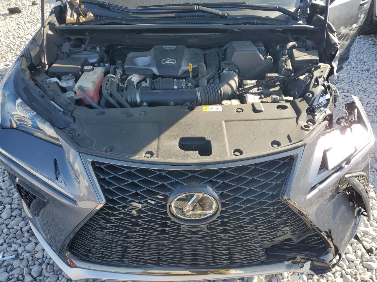 Lot #2970066506 2018 LEXUS NX 300 BAS