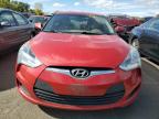 Lot #3024363550 2013 HYUNDAI VELOSTER