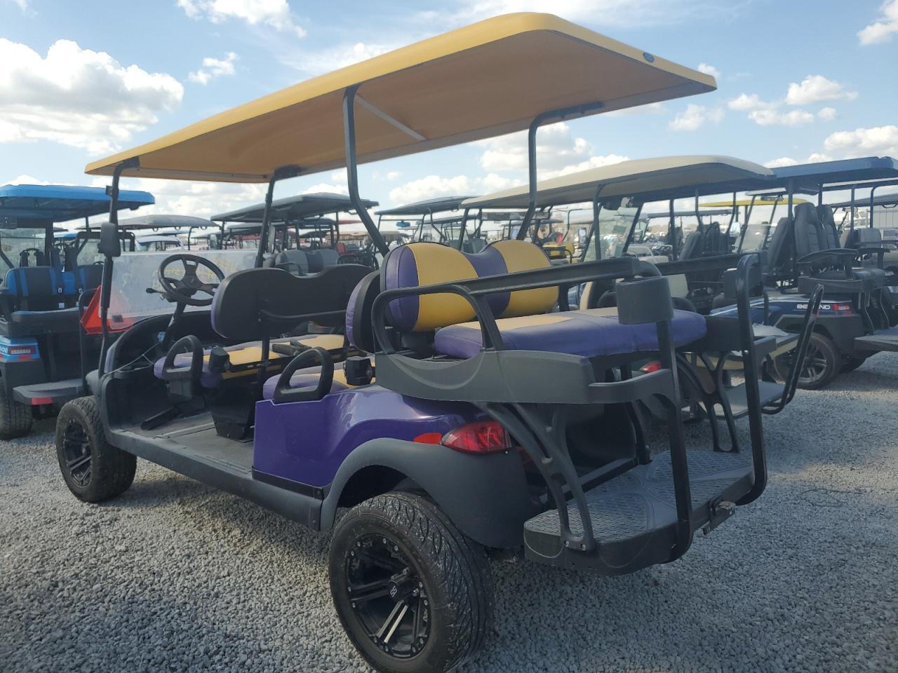 Lot #3026303446 2020 ASPT GOLF CART