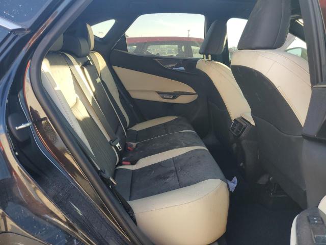 2024 LEXUS NX 250 2T2GDCAZ6RC009754