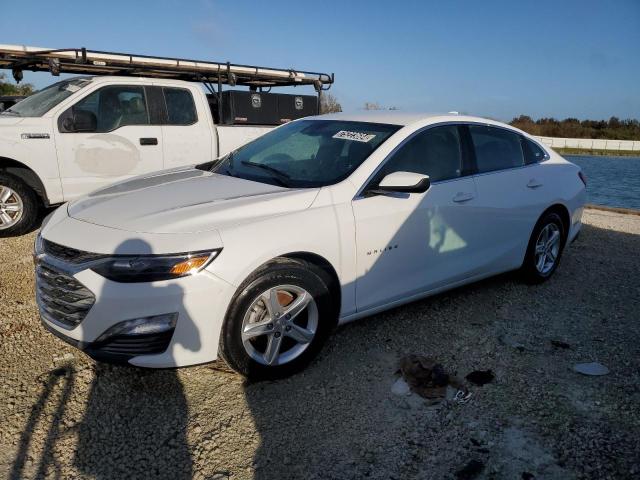 2024 CHEVROLET MALIBU LT - 1G1ZD5ST0RF117032
