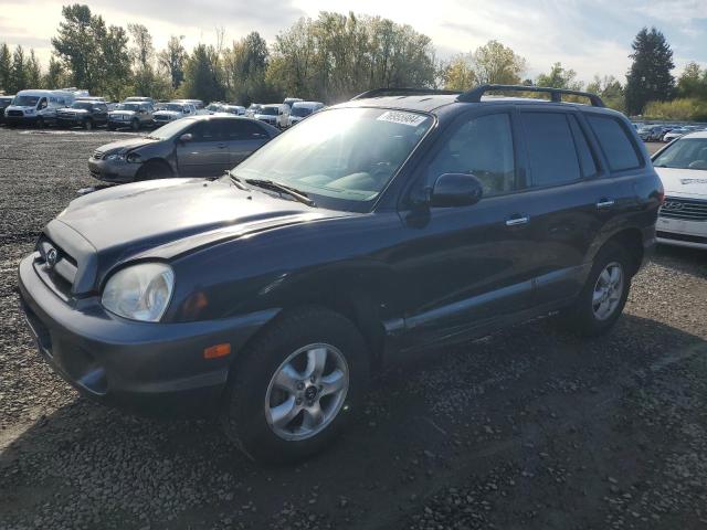 Global Auto Auctions: 2005 HYUNDAI SANTA FE G