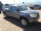 TOYOTA TACOMA ACC photo