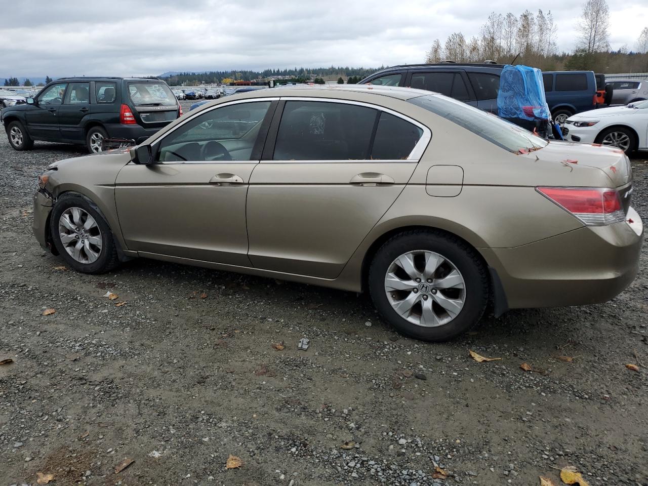 Lot #2935683911 2008 HONDA ACCORD EX