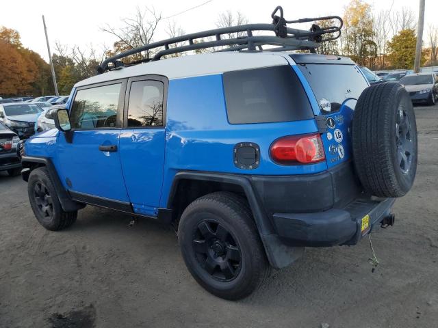 TOYOTA FJ CRUISER 2007 blue  gas JTEBU11F770008527 photo #3