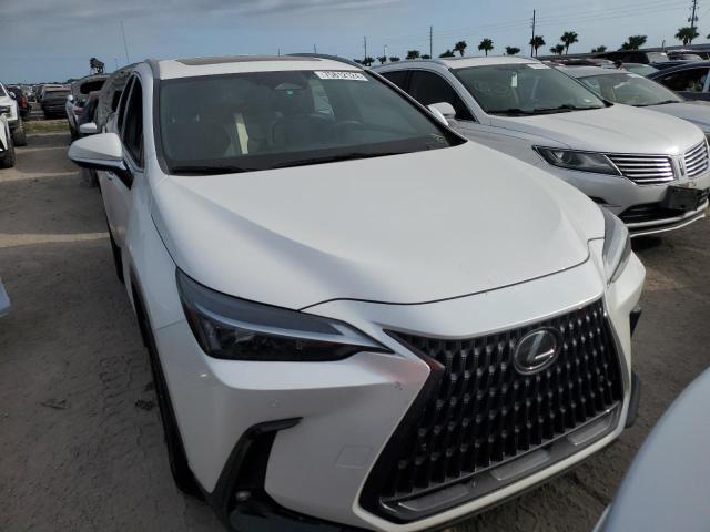2022 LEXUS NX 350 2T2GGCEZ5NC013290