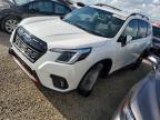 2023 SUBARU FORESTER S - JF2SKAJC8PH462689