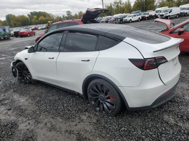 2022 TESLA MODEL Y - 7SAYGDEF6NF493472