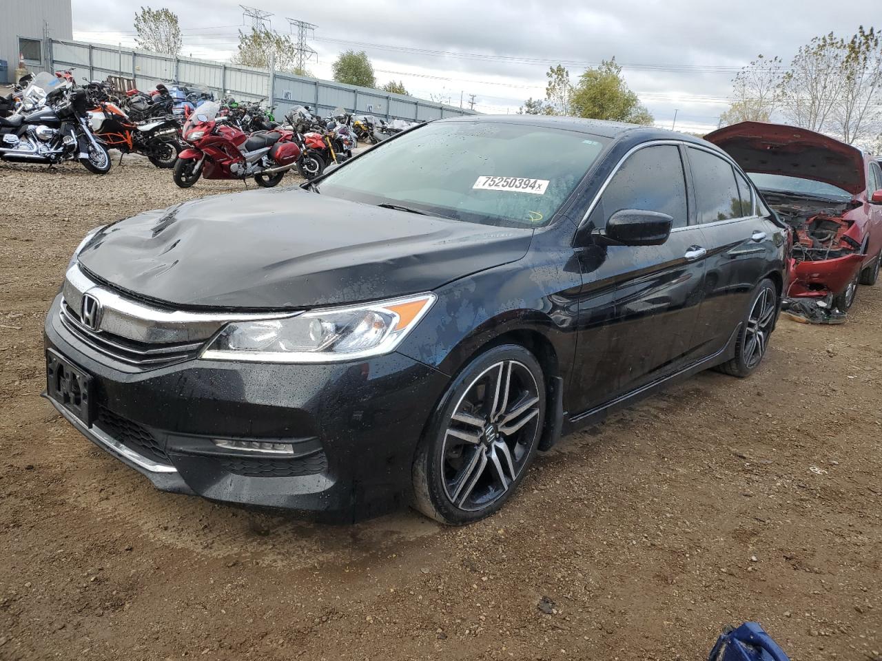 Lot #2928606702 2017 HONDA ACCORD SPO