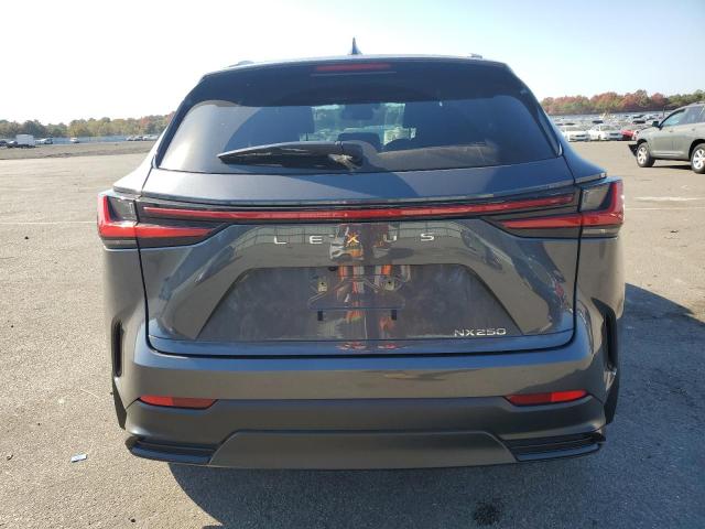 2024 LEXUS NX 250 BAS 2T2ADCAZ4RC006065