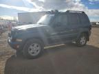 JEEP LIBERTY RE photo