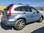 HONDA CR-V EX photo