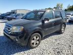 HONDA PILOT EXL photo