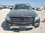 MERCEDES-BENZ ML 350 photo