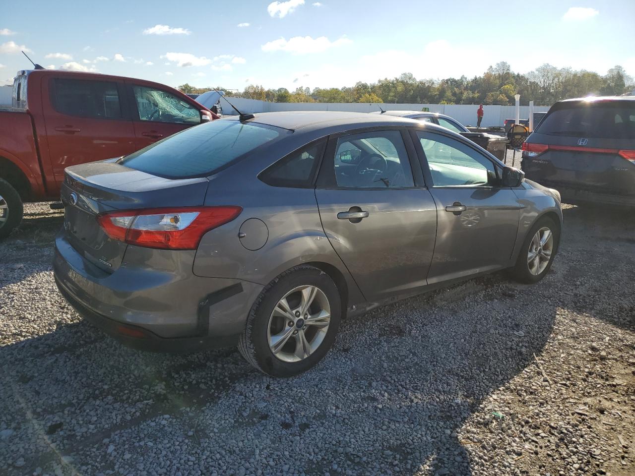 Lot #2907424100 2014 FORD FOCUS SE