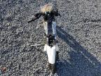 Lot #3024975189 2022 OTHER MINIBIKE