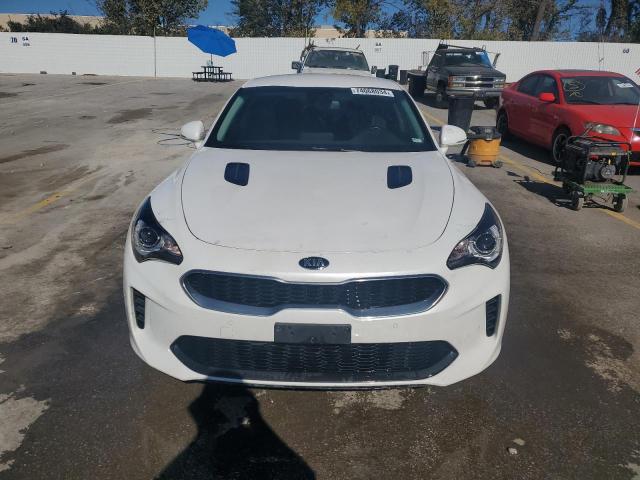 2019 KIA STINGER - KNAE15LA5K6051365
