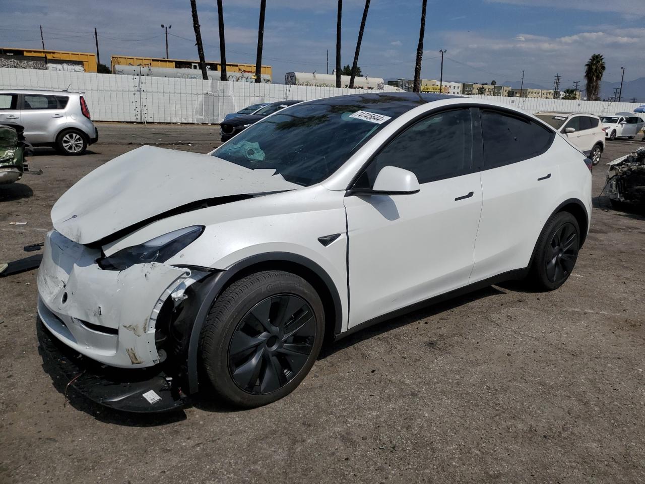 Lot #2986928760 2024 TESLA MODEL Y