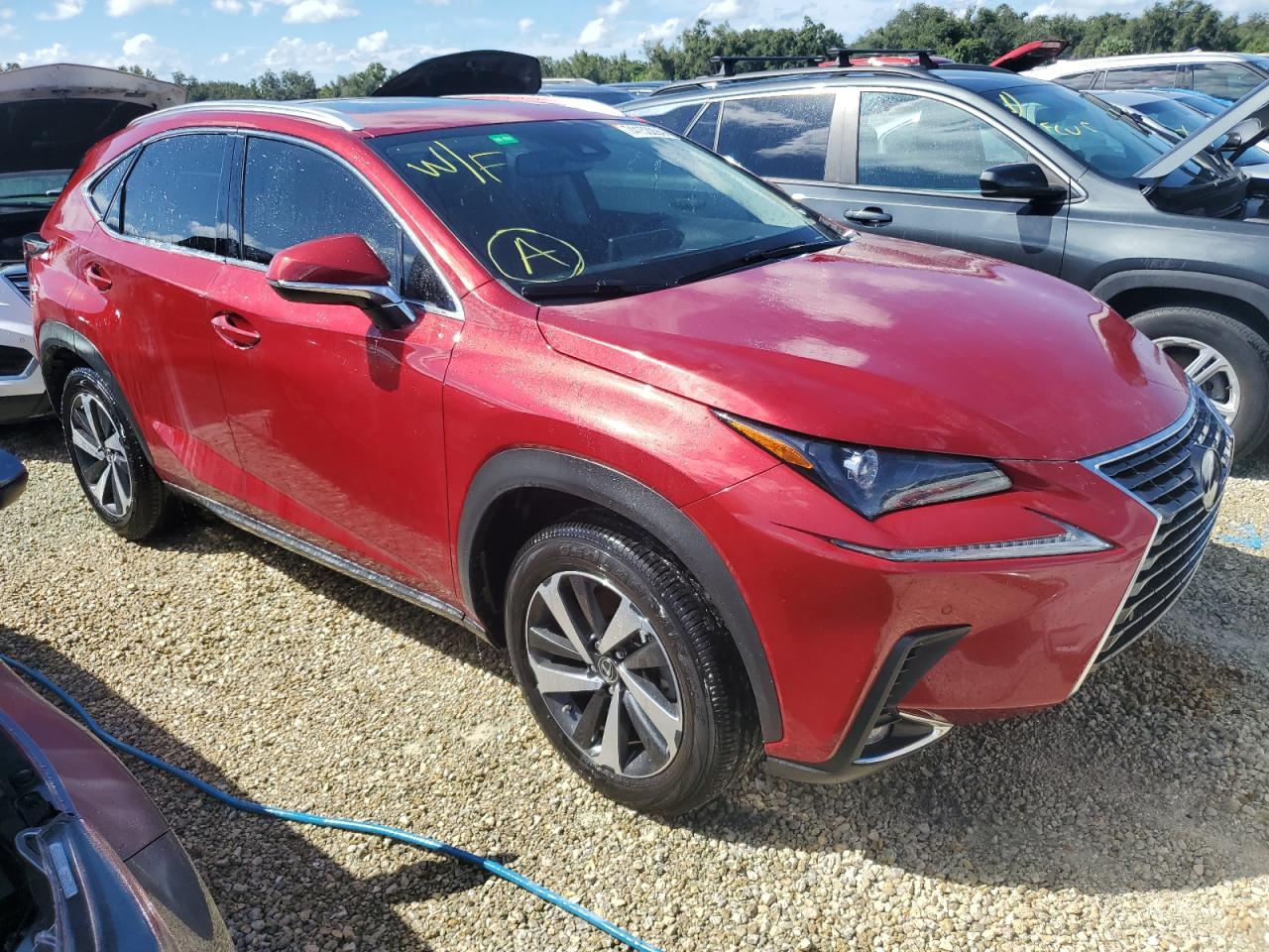 Lot #2881357523 2021 LEXUS NX 300 BAS