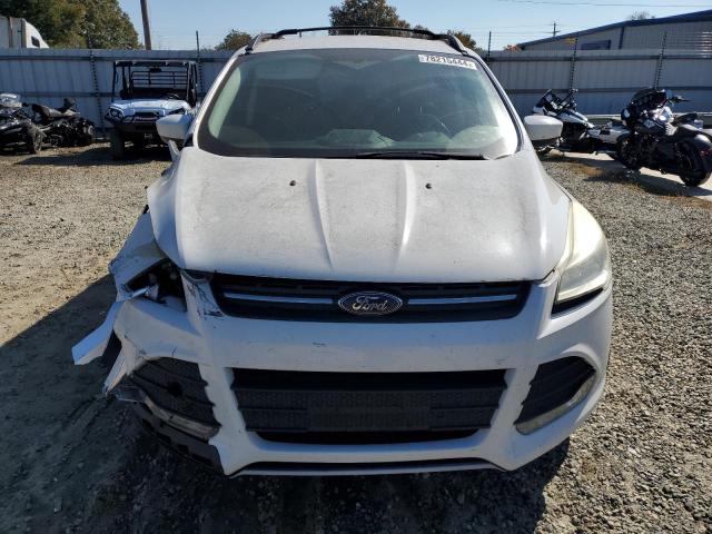 VIN 1FMCU0GX1DUD14299 2013 Ford Escape, SE no.5