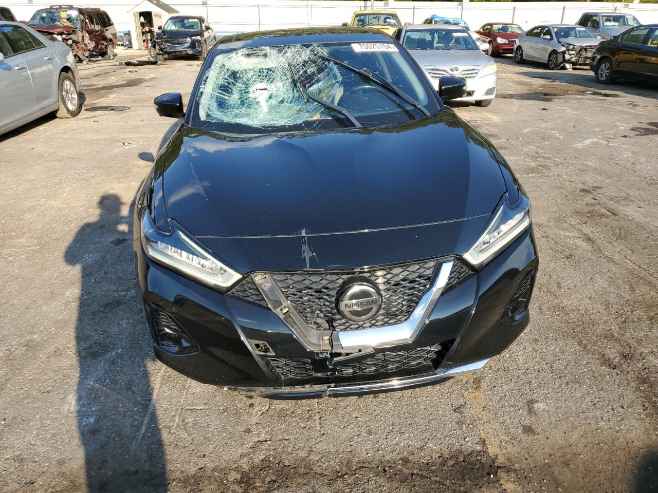 Lot #3025977951 2019 NISSAN MAXIMA S