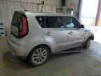 Lot #3004204901 2018 KIA SOUL +