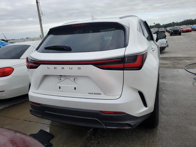 2023 LEXUS NX 250 JTJADCAZ5P2006346