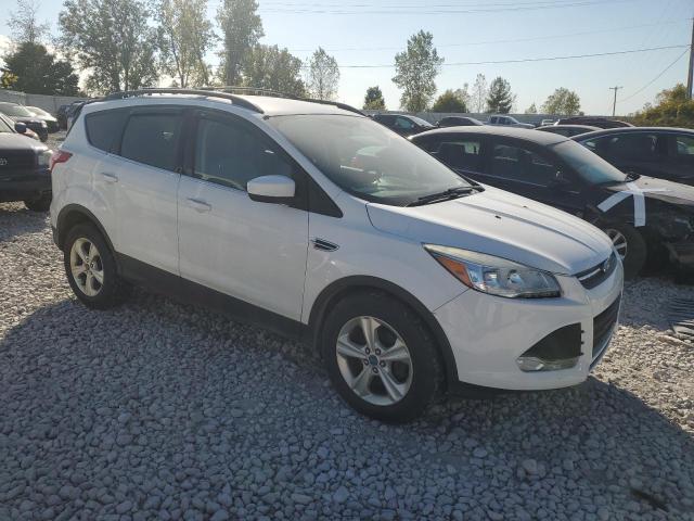 VIN 1FMCU0GX8DUB62800 2013 Ford Escape, SE no.4