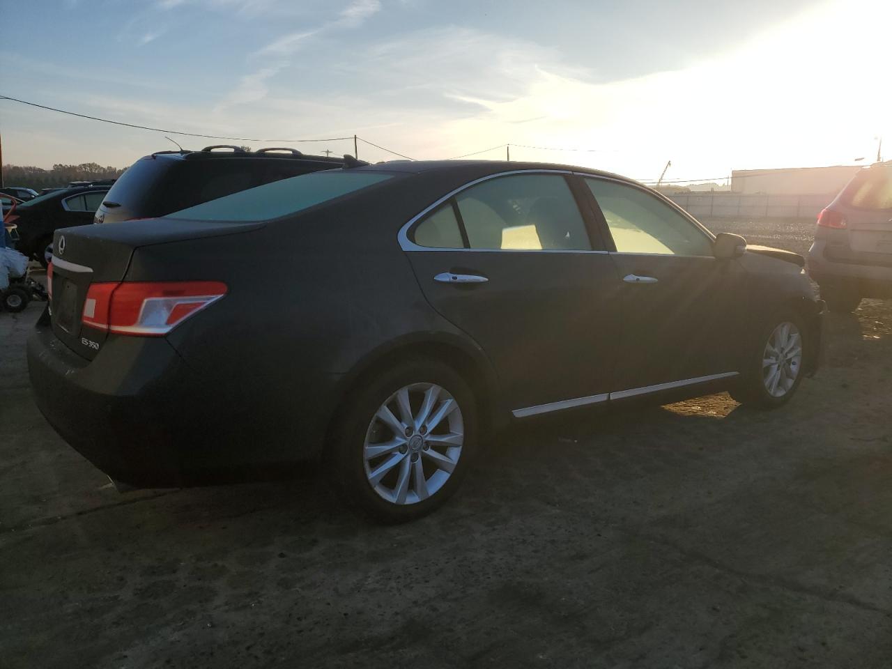 Lot #2962573798 2010 LEXUS ES 350