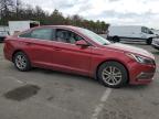 HYUNDAI SONATA SE photo