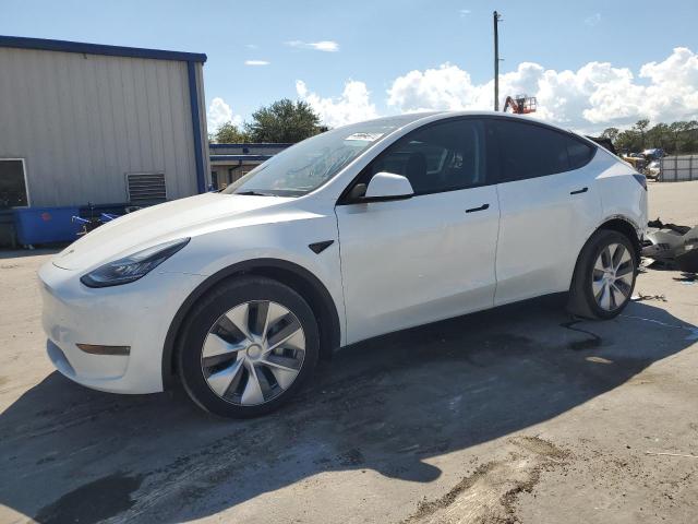 2023 TESLA MODEL Y #2981589751